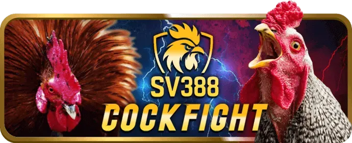 Khuyến mãi và ưu đãi win198 win